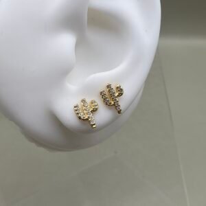 Cactus Circón - Ref. 658