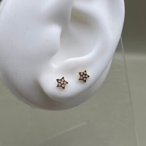 Estrella Esmaltada- Ref. 673